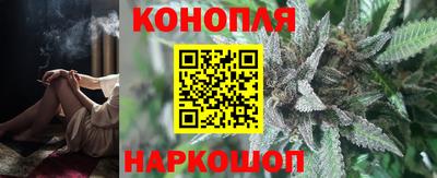 скорость Бердск