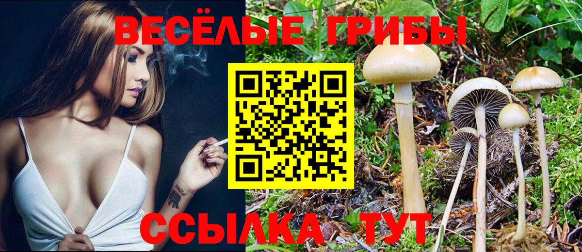 Псилоцибиновые грибы прущие грибы Лангепас